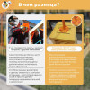 Музыкальная площадка "Лайт"