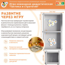 Игра командная дидактическая "Тактика и стратегия"