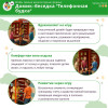 Домик-беседка "Телефонная Будка" Жу-Жу