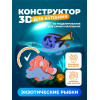 3D конструктор "Экзотические рыбки"