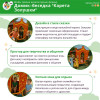 Домик-беседка "Карета Золушки" Жу-Жу