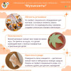 Развивающая настенно-напольная панель мобильная “Музыканты”