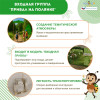 Экоплощадка Жу-Жу: Входная группа "Привал на полянке"